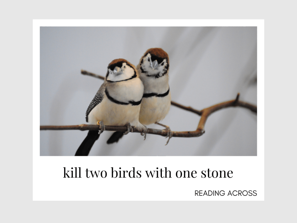 สำนวน kill two birds with one stone
