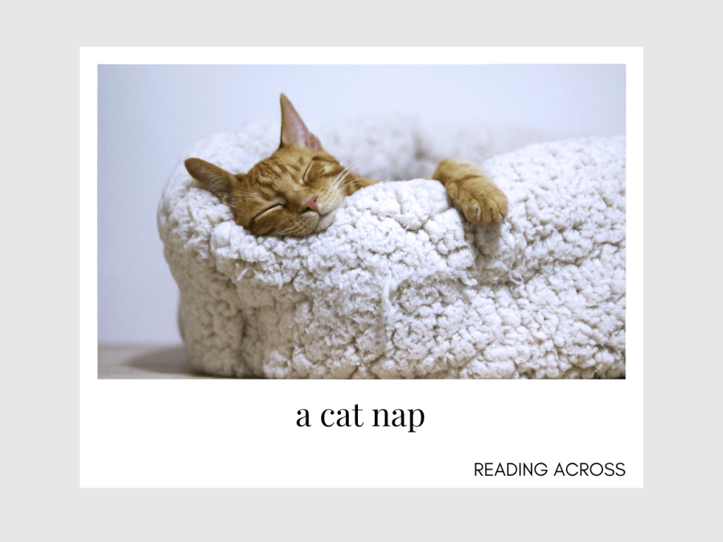 สำนวน a cat&nbsp;nap